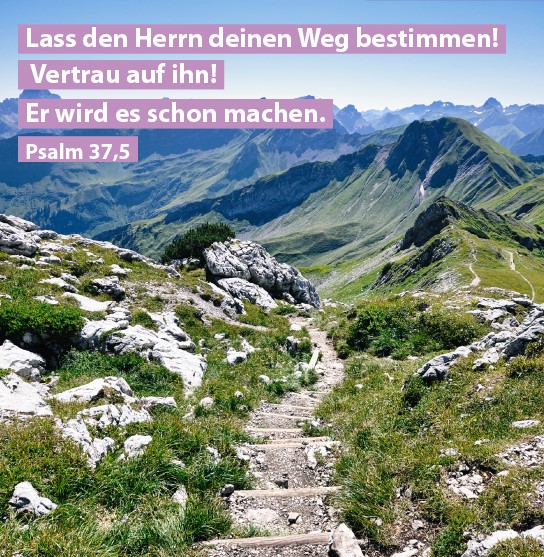 Andacht Lass den Herrn deinen Weg bestimmen! Vertrau auf ihn! Er wird es schon machen. Psalm 37,5