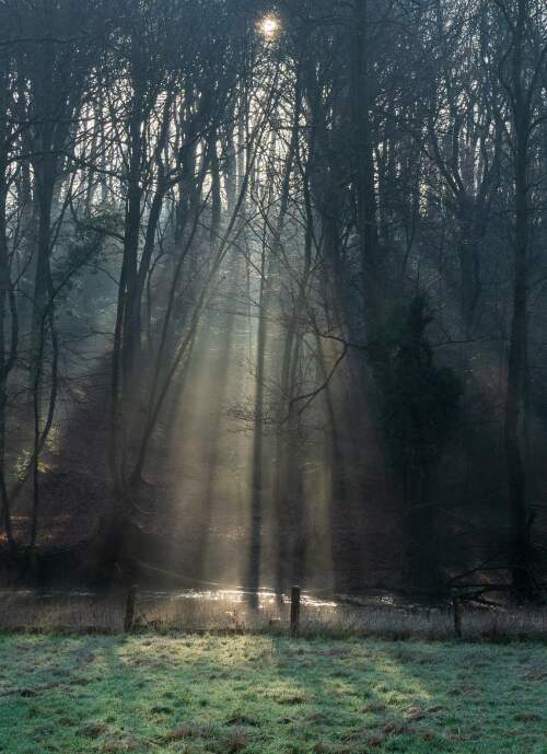 Herbst im Neandertal