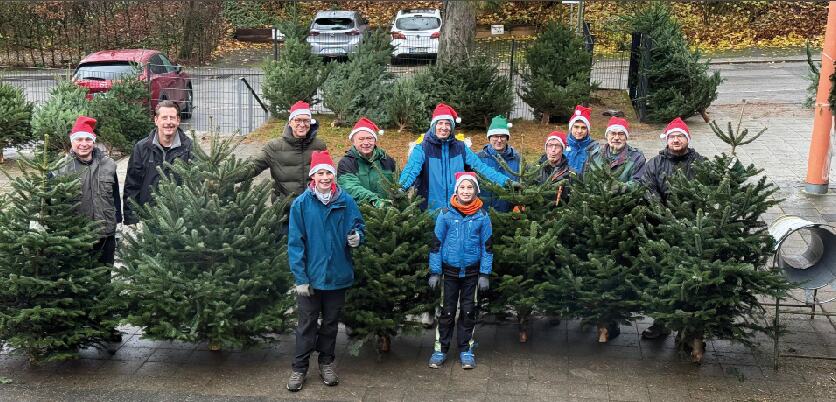 Weihnachtsbaumverkauf
